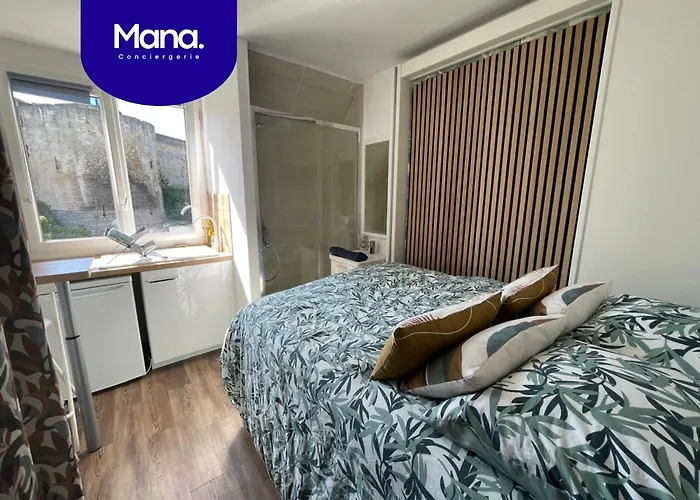 Hôtel accueillant les animaux: Castle - Vue sur le château - Hypercentre